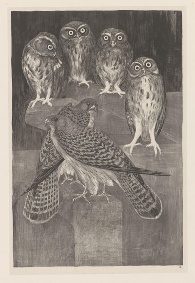 Négy kis bagoly és két vérke Animal Studies (eredeti sorozatcím) alkotó: Theo van Hoytema