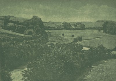 Kameramunka: Meadow-patak, 1904. alkotó: Theodor Hofmeister