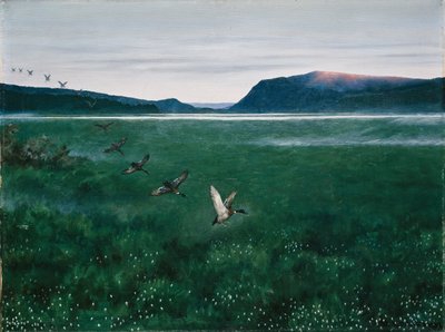 A tizenkét vadkacsa alkotó: Theodor Kittelsen