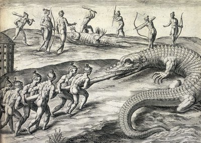 Meztelen indiánok aligátorra vadásznak Floridában, az Egyesült Államokban alkotó: Theodor de Bry