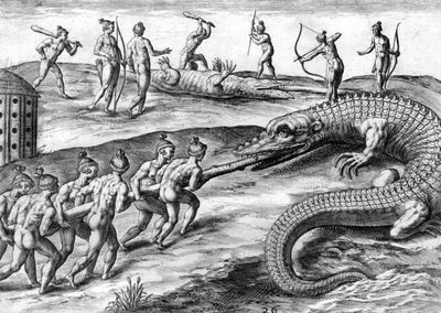 Timucuan indiánok alligátorra vadásznak alkotó: Theodor de Bry