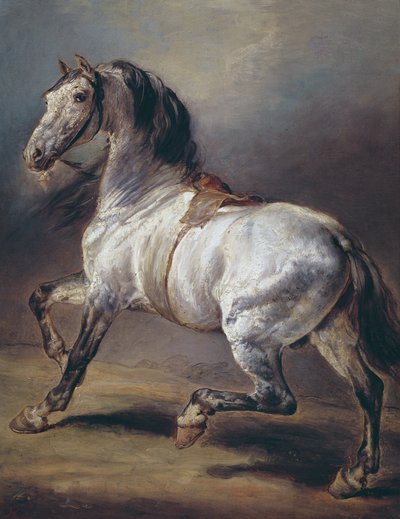 Tanulmány egy lóról alkotó: Theodore Gericault