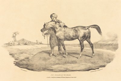 Egy arab ló alkotó: Theodore Gericault