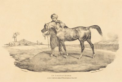 Egy arab ló alkotó: Theodore Gericault