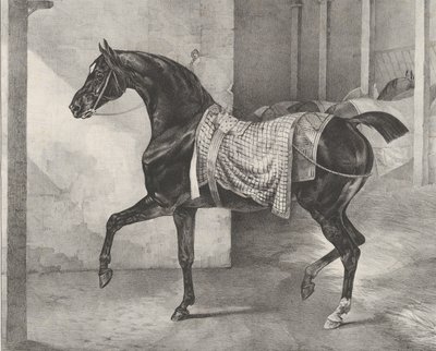 Fekete ló egy istállóba kötve, 1822. alkotó: Theodore Gericault