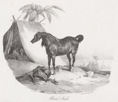 Arab ló (An Arabian Horse) alkotó: Theodore Gericault