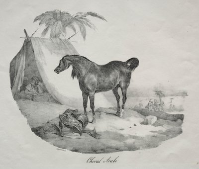 arab ló. alkotó: Theodore Gericault