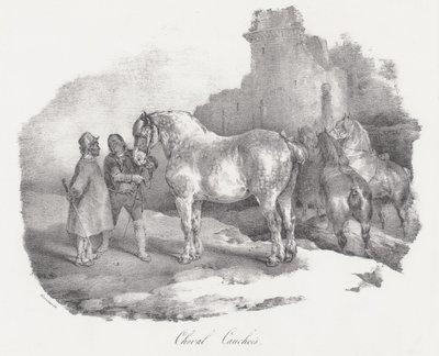 Cheval Cauchois (a normandiai Caux-ból származó őshonos lófajta) alkotó: Theodore Gericault