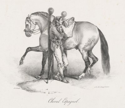 Spanyol ló (A Spanish Horse) alkotó: Theodore Gericault