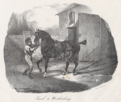 Mecklemburgi ló (A Mecklembourg Horse) alkotó: Theodore Gericault