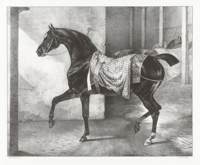 Egy istállóban kikötött fekete ló (A Black Horse Tethered in a Stable) alkotó: Theodore Gericault