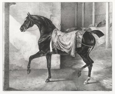 Egy istállóban kikötött fekete ló (A Black Horse Tethered in a Stable) alkotó: Theodore Gericault