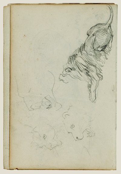 Négy oroszlántanulmány alkotó: Theodore Gericault
