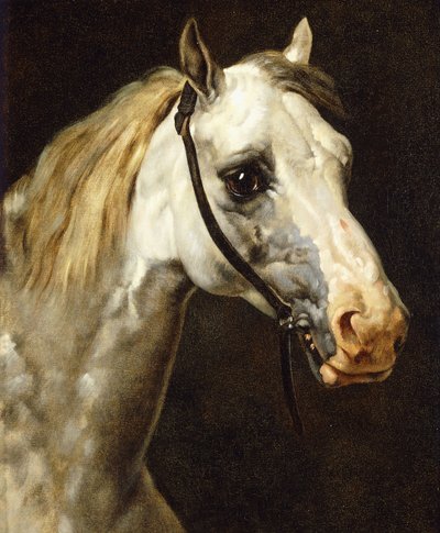 Egy piebald ló feje, alkotó: Theodore Gericault