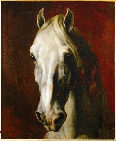 Fehér ló feje ... alkotó: Theodore Gericault