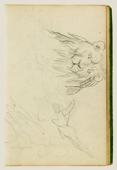 Ülő oroszlán elölnézete alkotó: Theodore Gericault