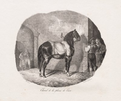 Ló a Caen-síkságról alkotó: Theodore Gericault