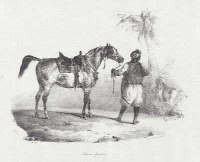 Egyiptomi kanca (An Egyptian Mare) alkotó: Theodore Gericault