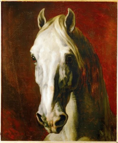 Fehér ló feje alkotó: Theodore Gericault