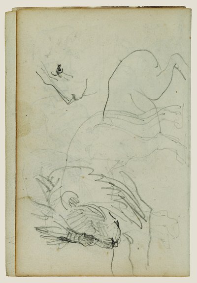 Oroszlán tanulmányok alkotó: Theodore Gericault