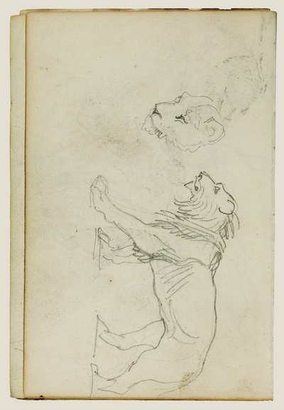 Sétáló oroszlán, oroszlánnő feje alkotó: Theodore Gericault