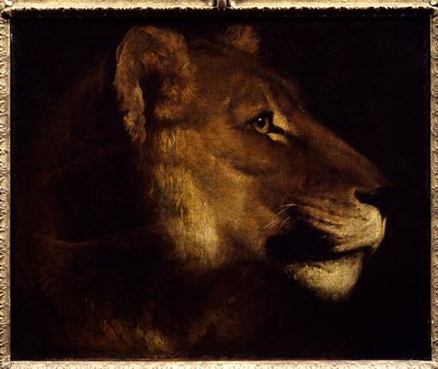 Oroszlánfej festmény, Theodore Gericault (1791-1824) 19. század V. 0,55x0,65 m Párizs, Musee du Louvre. - Oroszlán feje. Theodore Gericault festménye (1791-1824) alkotó: Theodore Gericault