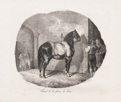 Litografált lótanulmányok: Pl. 7, Ló a Caen-síkságról, 1822. alkotó: Theodore Gericault
