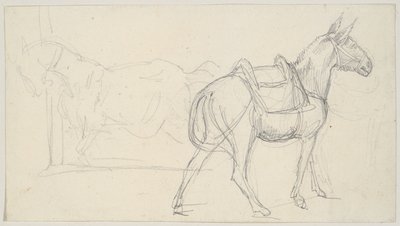 Lóvázlat alkotó: Theodore Gericault