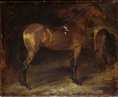 Spanyol ló - olaj, vászon alkotó: Theodore Gericault
