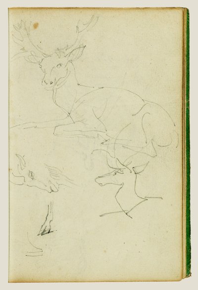 Egy ülő szarvas, egy szarvasborjú és egy kecskekopf ábrázolásáról szóló tanulmányok alkotó: Theodore Gericault