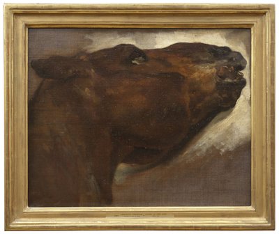 Egy halott ló tanulmányozása alkotó: Theodore Gericault