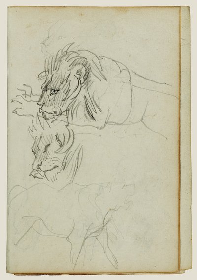 Három oroszlántanulmány alkotó: Theodore Gericault