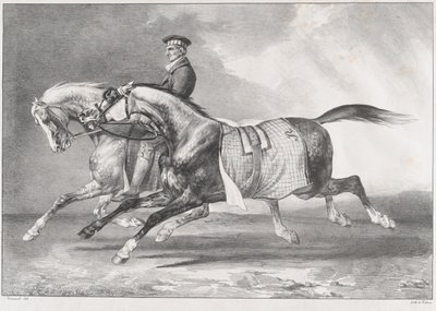 Két foltos szürke ló edzés közben alkotó: Theodore Gericault