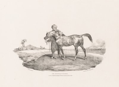 Különféle témák életről és kőre rajzolva:  Egy arab ló alkotó: Theodore Gericault