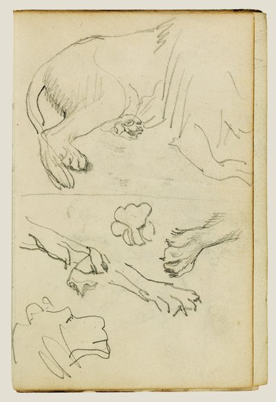 Különböző tanulmányok az oroszlán lábáról, mancsáról és fejéről alkotó: Theodore Gericault