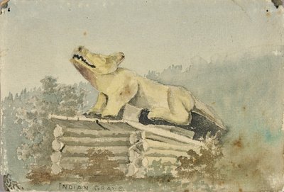Indián sír. Farkas-totem az orvostanhallgató sírja felett, Wrangell alkotó: Theodore J. Richardson