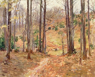 Virginia Woods, 1893 alkotó: Theodore Robinson
