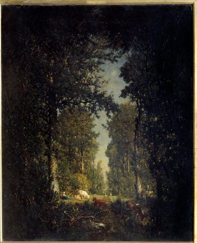 Egy sugárút, Adam-sziget erdő. Theodore Rousseau (1812-1867) festménye alkotó: Pierre Etienne Theodore Rousseau