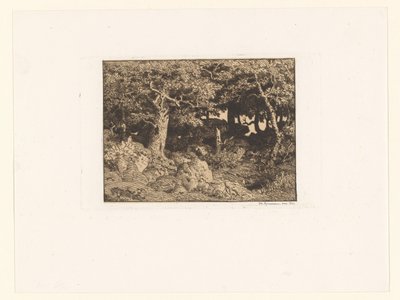 Tölgyfák a sziklákon Chenes de Roche (eredeti cím) alkotó: Theodore Rousseau