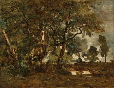 Fontainebleau-i erdő, magas fák csoportja a Clair-Bois síkságra néző Bas-Bréau szélénél alkotó: Theodore Rousseau