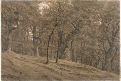 A Fontainbleau-i erdőben alkotó: Theodore Rousseau