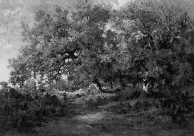 Táj, c. 1860. alkotó: Theodore Rousseau
