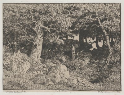 Tölgyfák és sziklák alkotó: Pierre Etienne Theodore Rousseau
