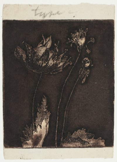 Utolsó Pipacsok alkotó: Theodore Roussel