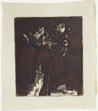 Utolsó Pipacsok alkotó: Theodore Roussel