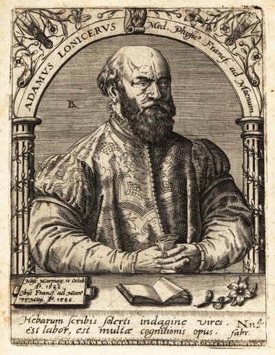 Adam Lonicer vagy Lonitzer alkotó: Theodore de Bry