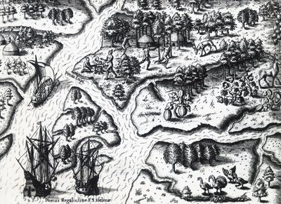 A franciák érkezése Port Royalba 1564-ben, Theodor de Bry (1528-1598) Jacques le Moyne de Morgues (kb. 1533-1588 előtt) festményéből, metszet alkotó: Theodore de Bry