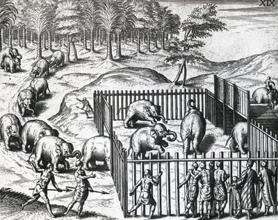 Theodor de Bry (1528-1598) elefántvadászata Pegu királyságában (ma Mianmar), metszet alkotó: Theodore de Bry
