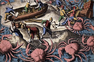 Európai navigátorok harcolnak a nagy rákokkal. Metszet Theodore de Bry „Petities voyages aux Indes Orientales” című könyvéből alkotó: Theodore de Bry