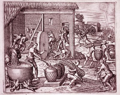 Amerika története: cukornád betakarítása és cukortermelés indiai rabszolgák által, akik a spanyol hódítóknak dolgoznak (metszet alkotó: Theodore de Bry